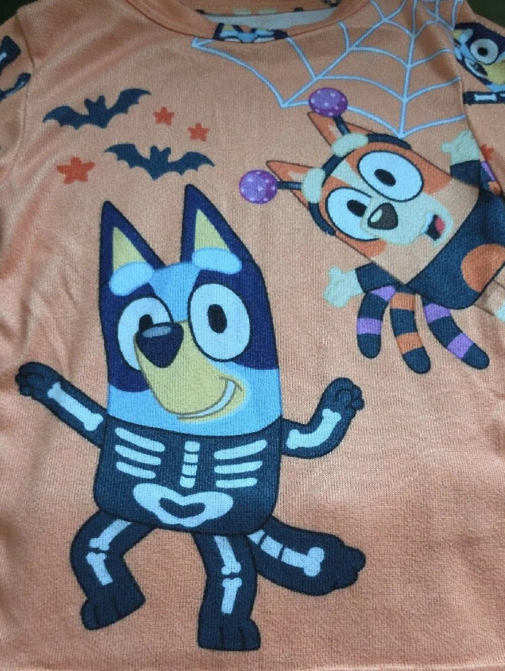Kids' Orange Halloween Bluey & Bingo Pajama Set